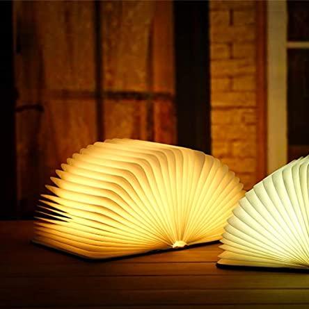 Lumina Buchlicht | Elegante Designlampe