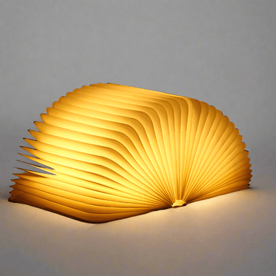 Lumina Buchlicht | Elegante Designlampe