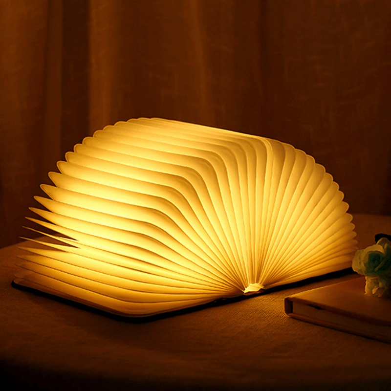Lumina Buchlicht | Elegante Designlampe